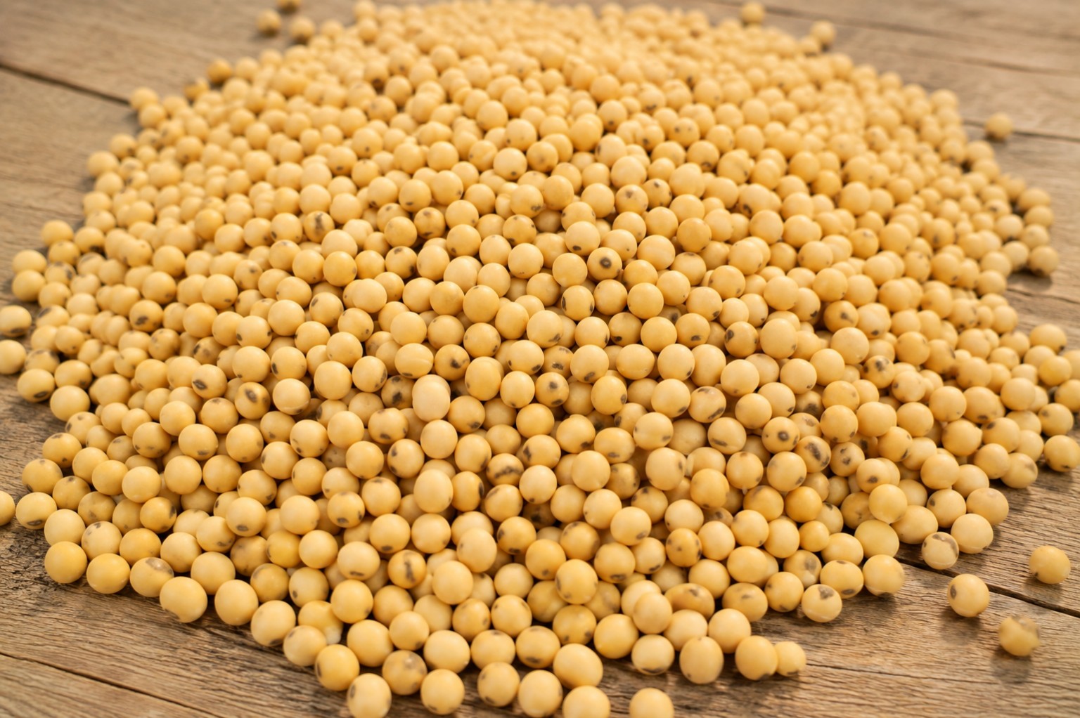 Soy commodity product